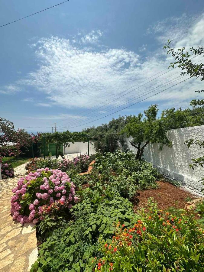 Xheko Rooms Dhërmi Екстериор снимка